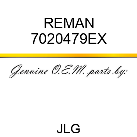 REMAN 7020479EX