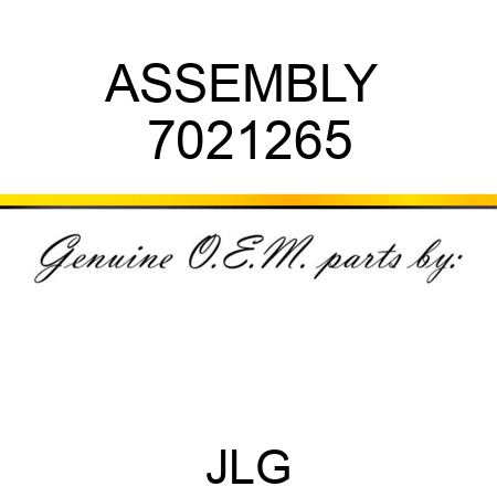 ASSEMBLY  7021265