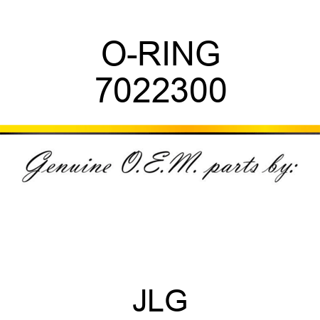 O-RING 7022300