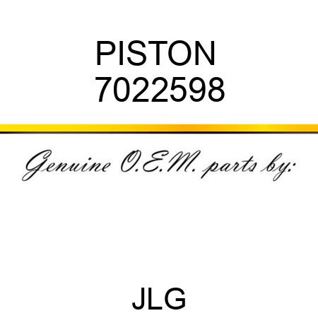 PISTON  7022598
