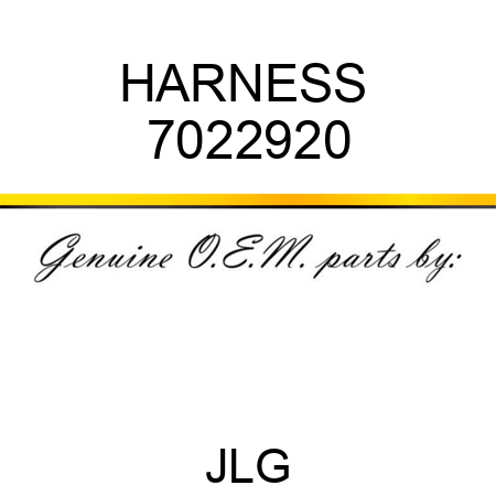 HARNESS  7022920