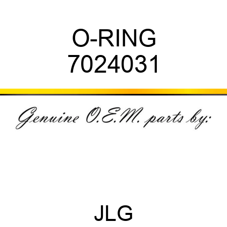 O-RING 7024031