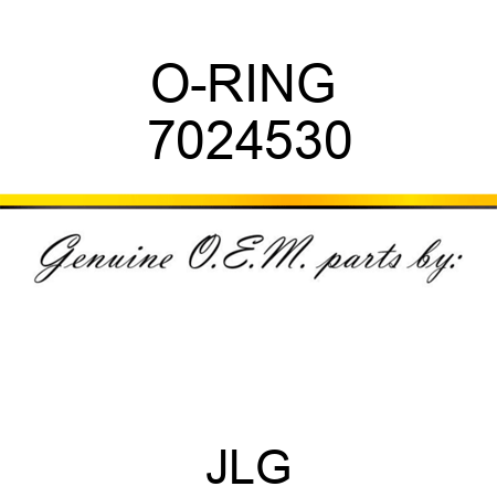 O-RING  7024530