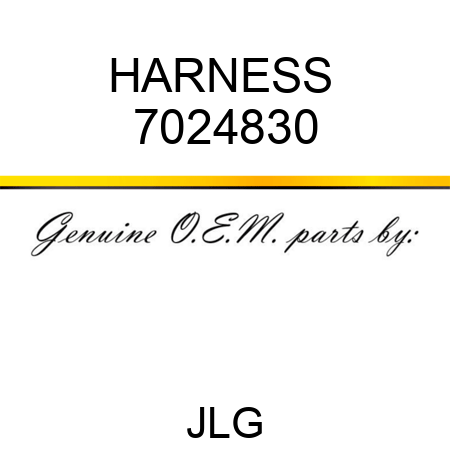 HARNESS  7024830
