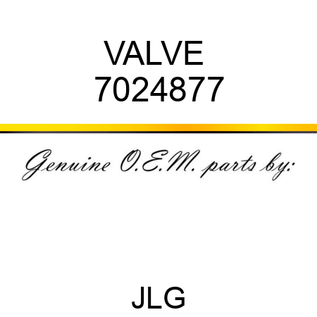 VALVE  7024877