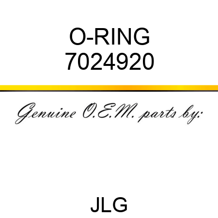 O-RING 7024920