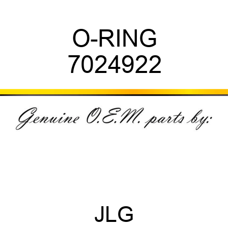 O-RING 7024922