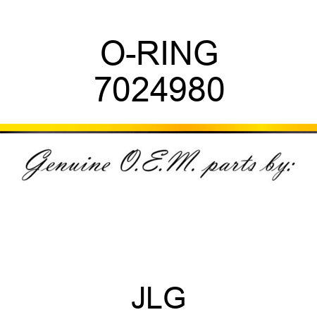 O-RING 7024980