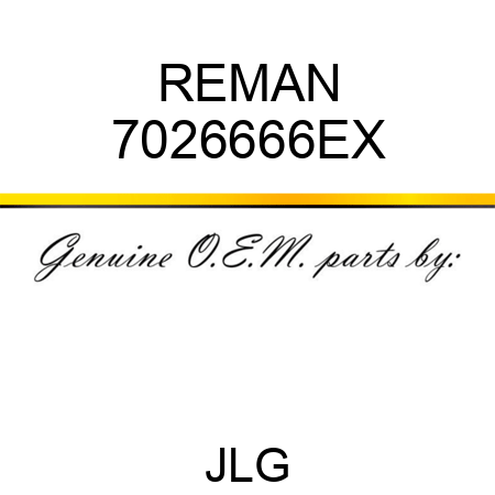 REMAN 7026666EX