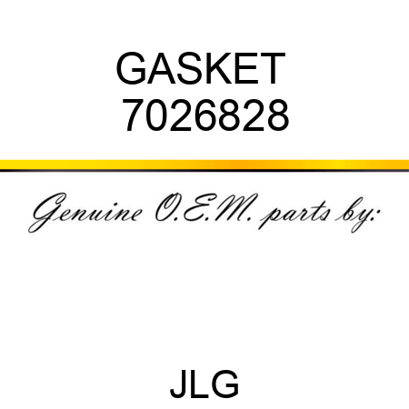 GASKET  7026828