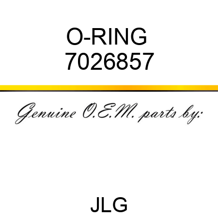 O-RING  7026857