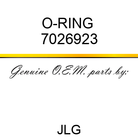O-RING  7026923