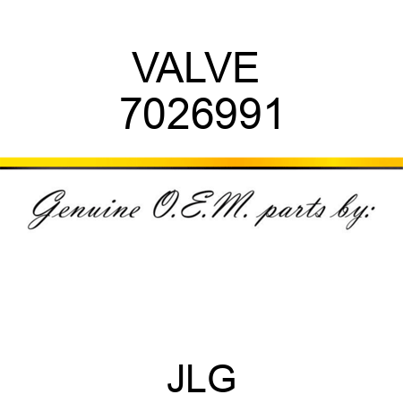 VALVE  7026991