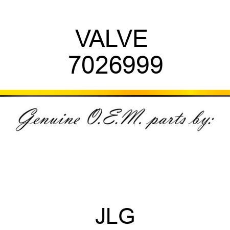 VALVE  7026999