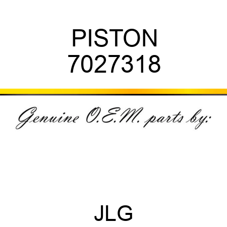 PISTON 7027318