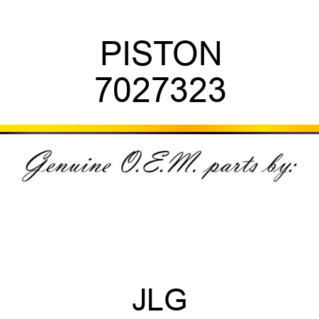 PISTON 7027323