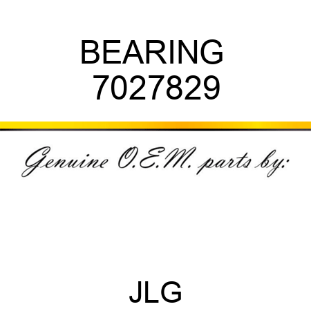 BEARING  7027829