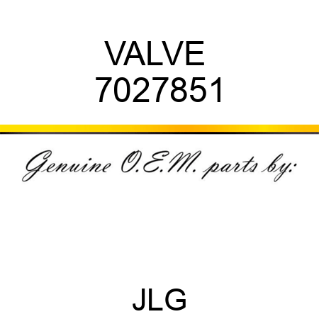 VALVE  7027851