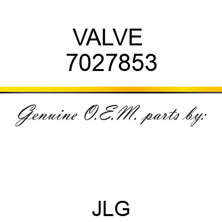 VALVE  7027853