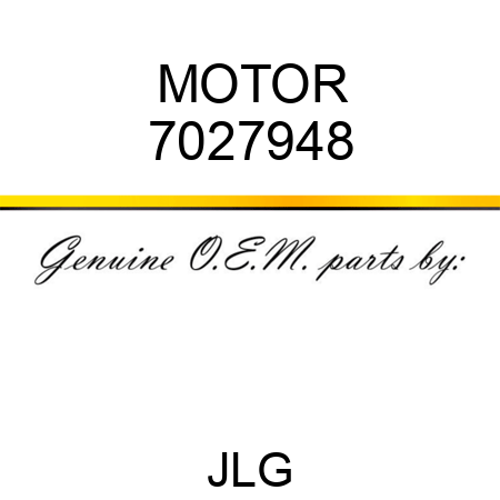 MOTOR 7027948