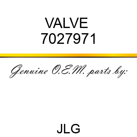 VALVE  7027971