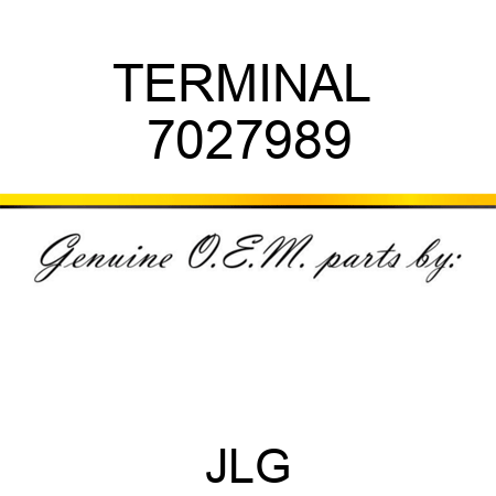 TERMINAL  7027989