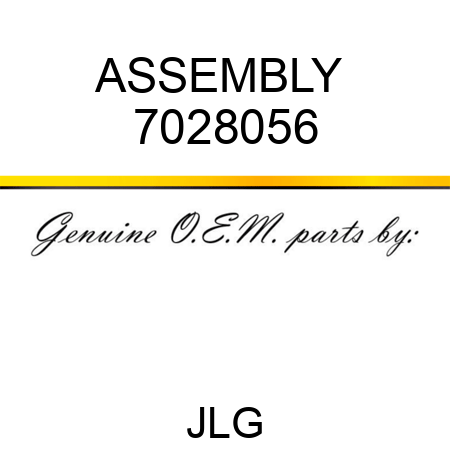 ASSEMBLY  7028056