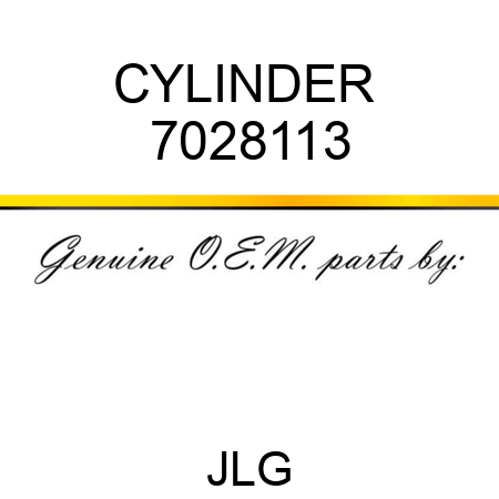 CYLINDER  7028113