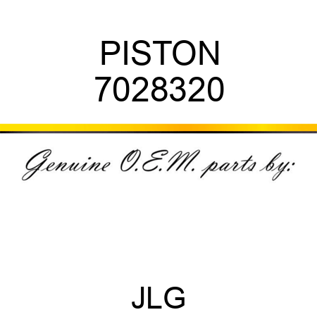 PISTON 7028320