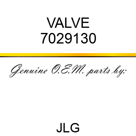 VALVE 7029130