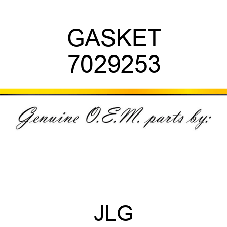 GASKET 7029253
