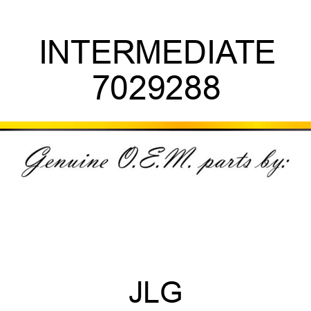 INTERMEDIATE 7029288