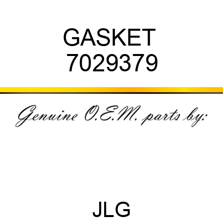 GASKET  7029379