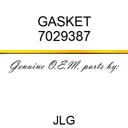 GASKET 7029387