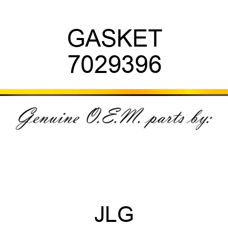 GASKET 7029396