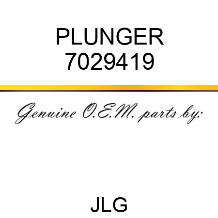 PLUNGER 7029419