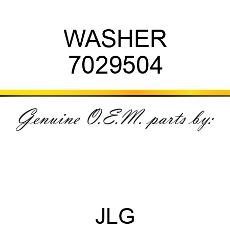 WASHER 7029504
