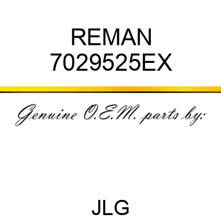 REMAN 7029525EX