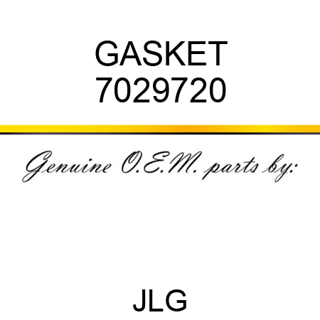 GASKET 7029720