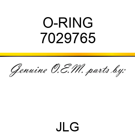 O-RING 7029765