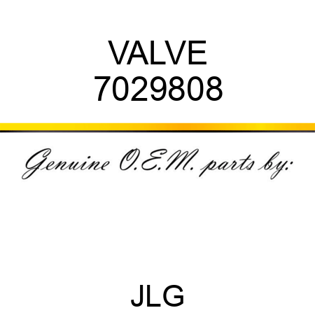 VALVE 7029808