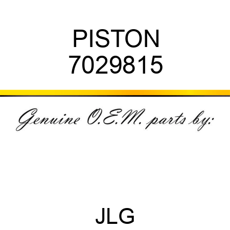 PISTON 7029815