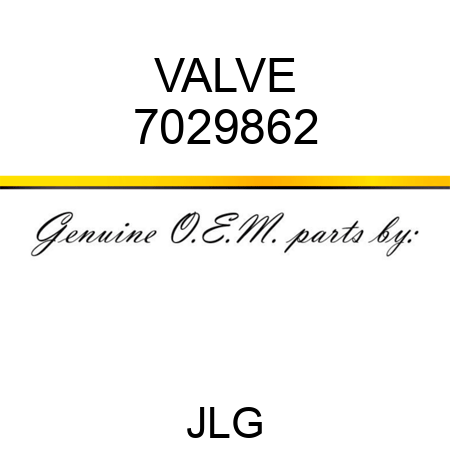 VALVE 7029862