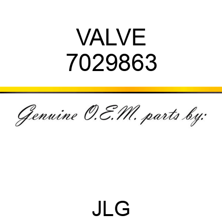 VALVE 7029863