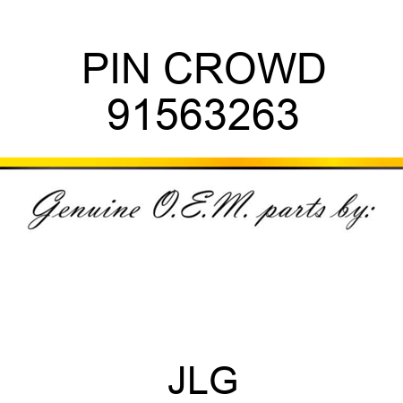 PIN CROWD 91563263