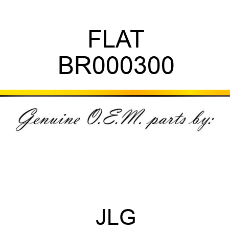 FLAT BR000300