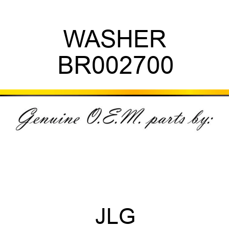 WASHER BR002700