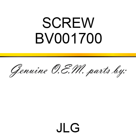 SCREW BV001700