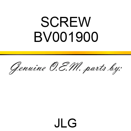 SCREW BV001900