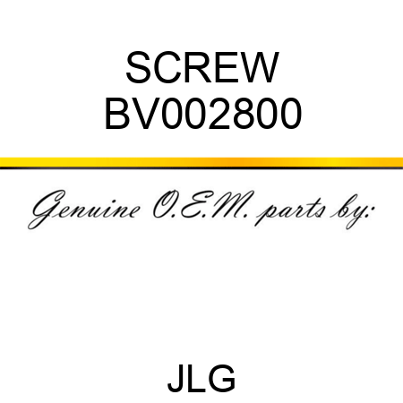 SCREW BV002800